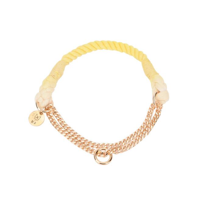 Rainbow Gold Chain Pet Leash & Collar Set – Stylish and Durable