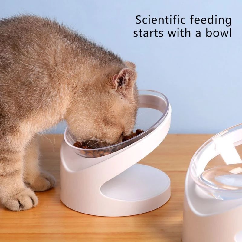 Ergonomic Tilted Cat Bowl – Protects Neck & Spine