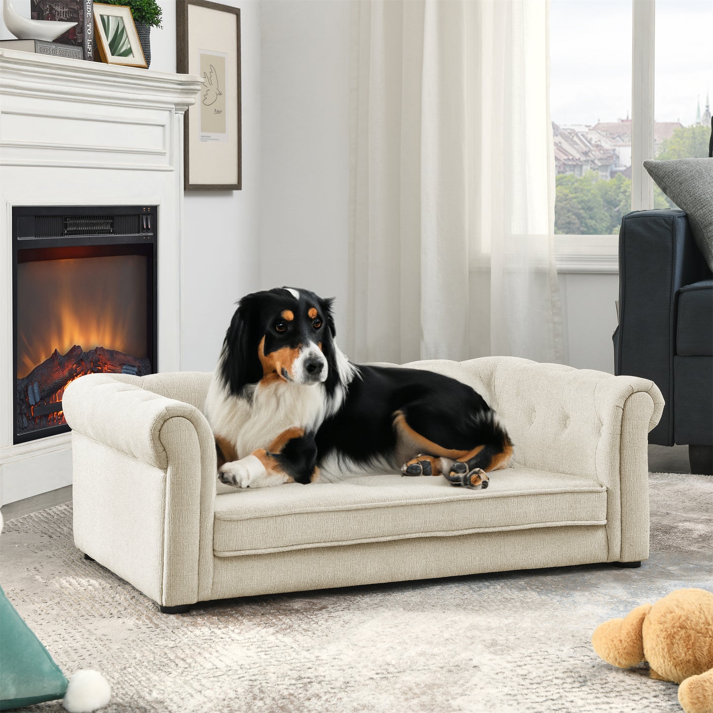 Elegant Elevated Dog Sofa - A Must-Have for Your Dog's Comfort