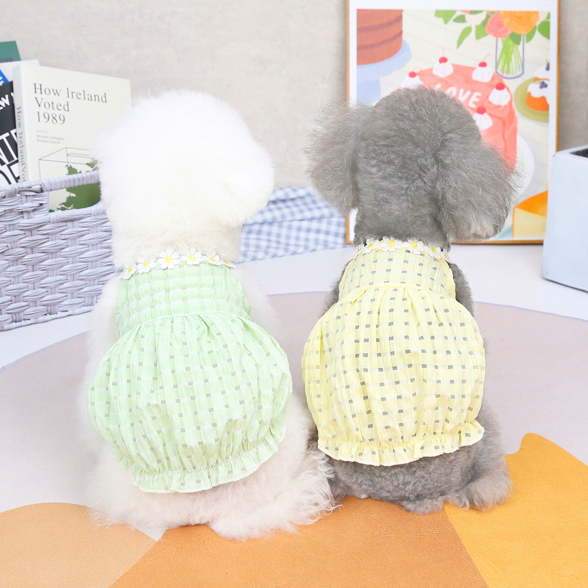 Spring & Summer Lantern Dress for Small Dogs – Casual Style