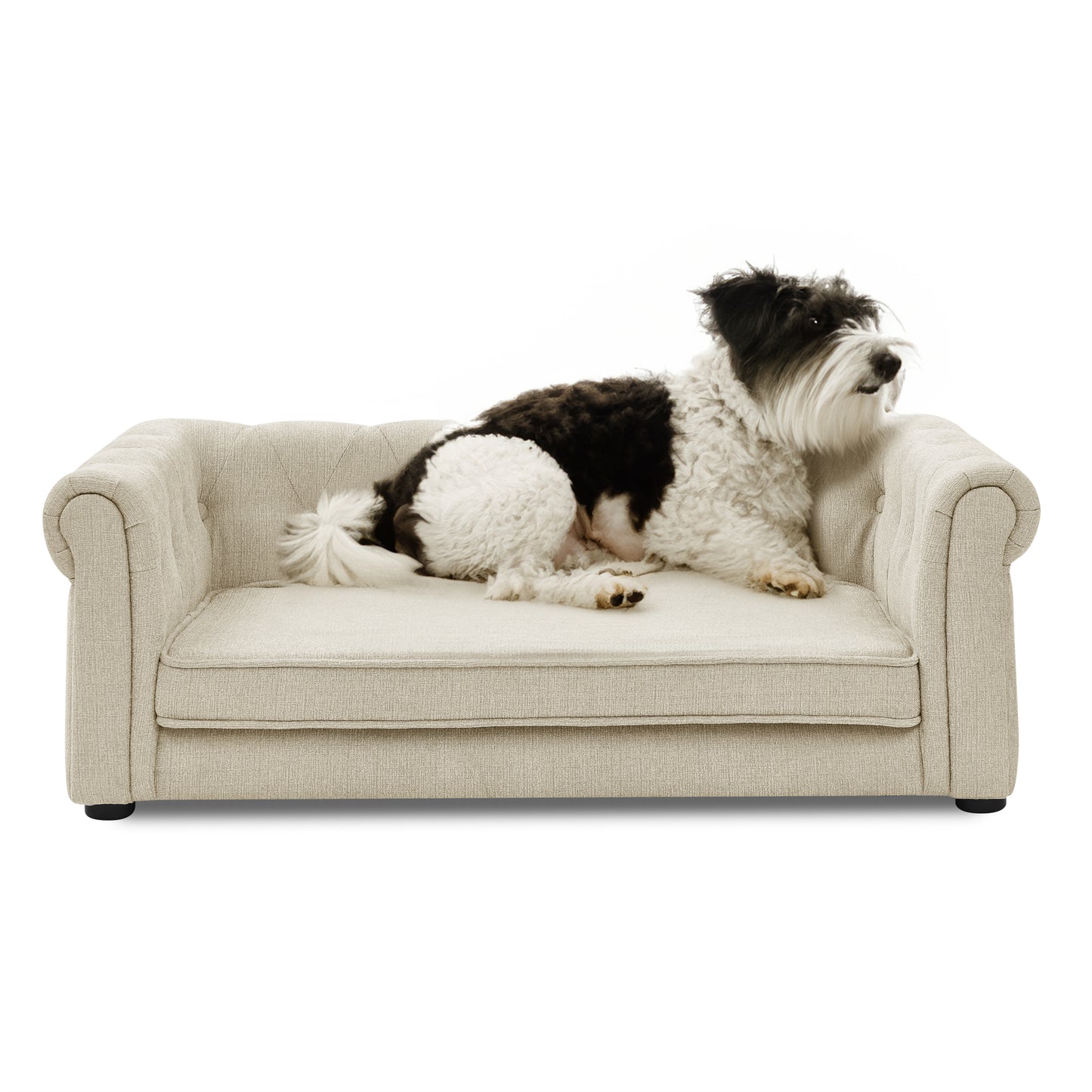 Elegant Elevated Dog Sofa - A Must-Have for Your Dog's Comfort