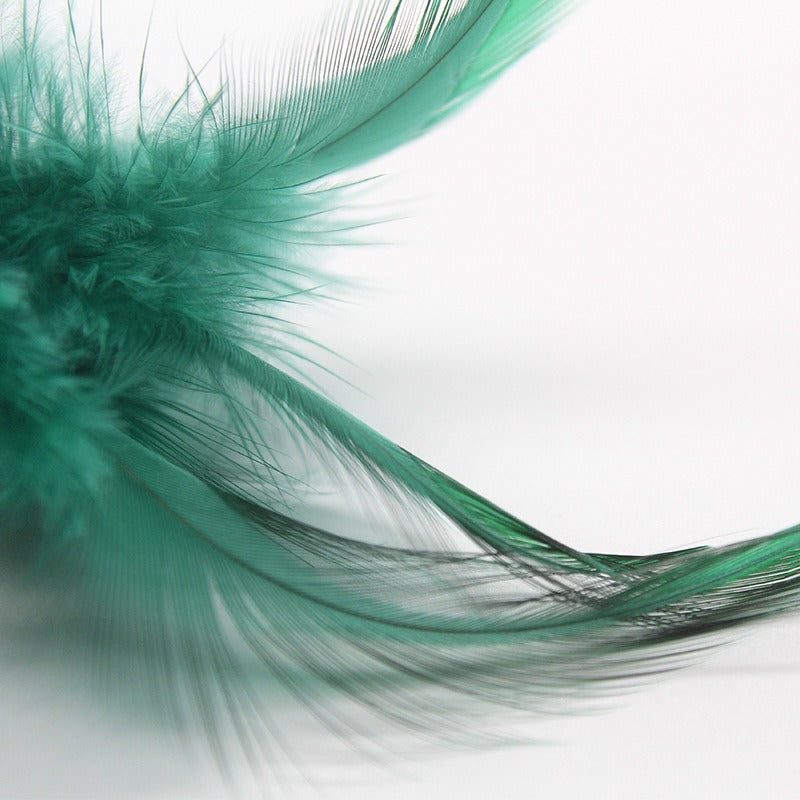 Catnip Ball Toy with Teasing Feather & Bell – Teeth Grinding & Cleaning