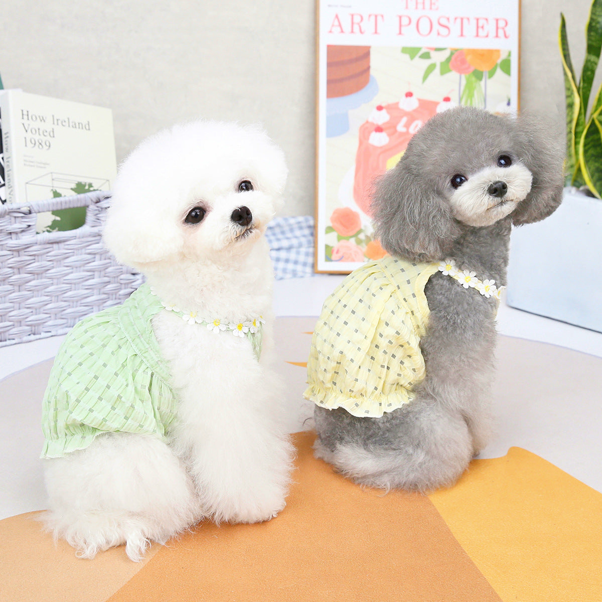 Spring & Summer Lantern Dress for Small Dogs – Casual Style