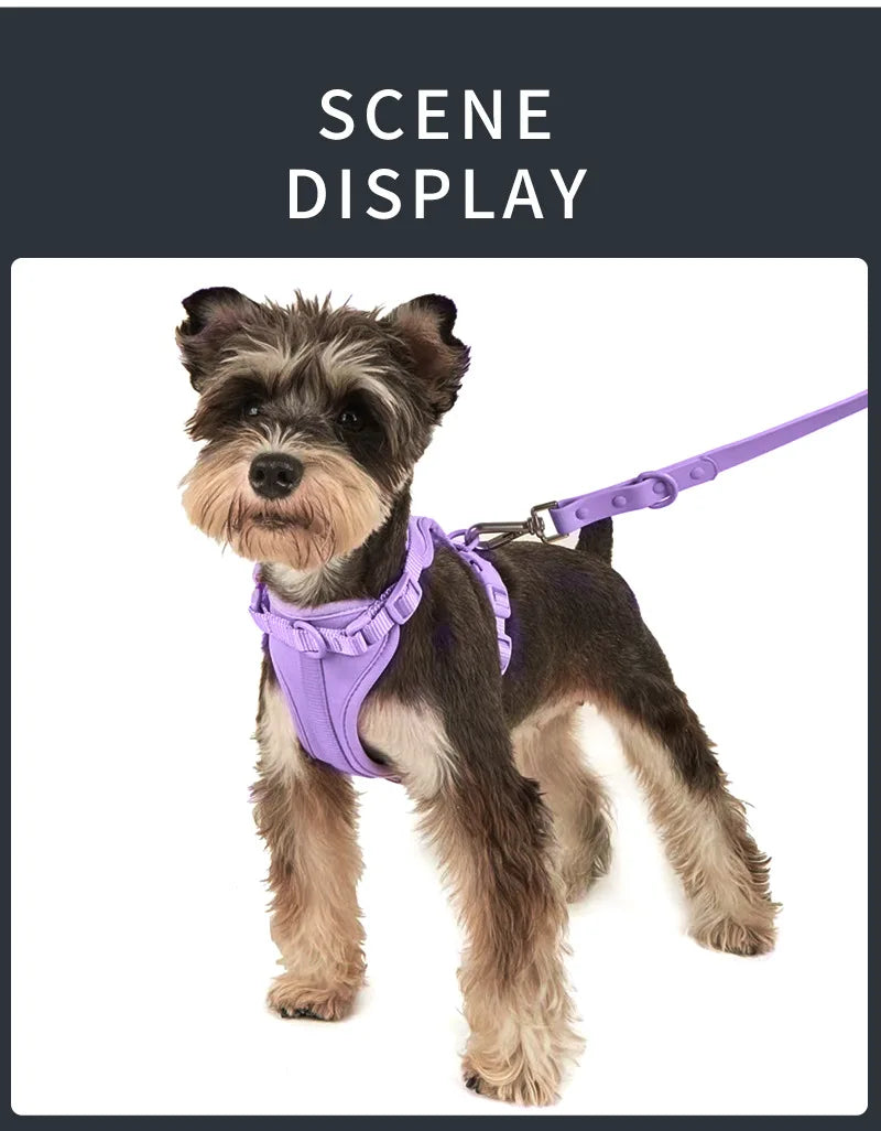 Waterproof Dog Collar & Harness Set – Leash, Collar & Poop Bag Holder for Dogs