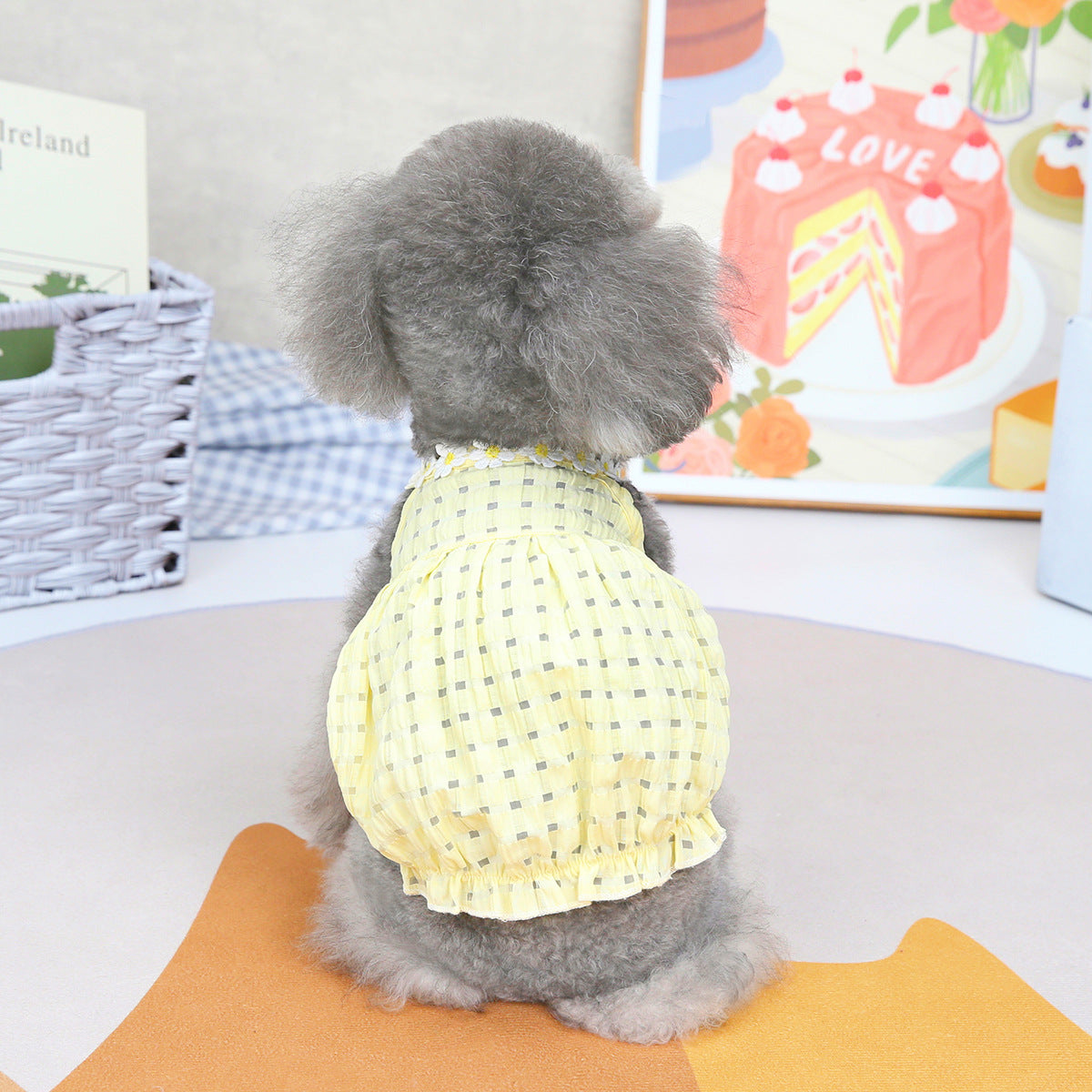 Spring & Summer Lantern Dress for Small Dogs – Casual Style