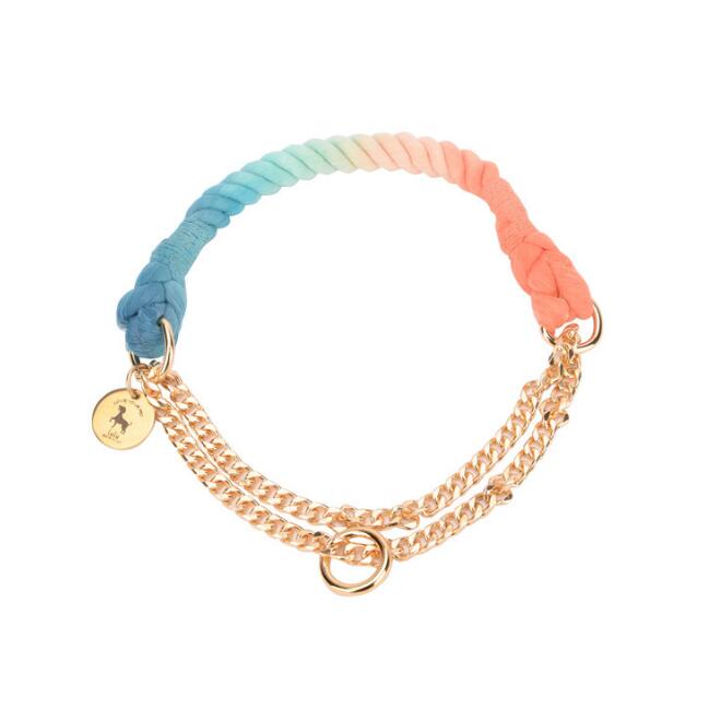 Rainbow Gold Chain Pet Leash & Collar Set – Stylish and Durable