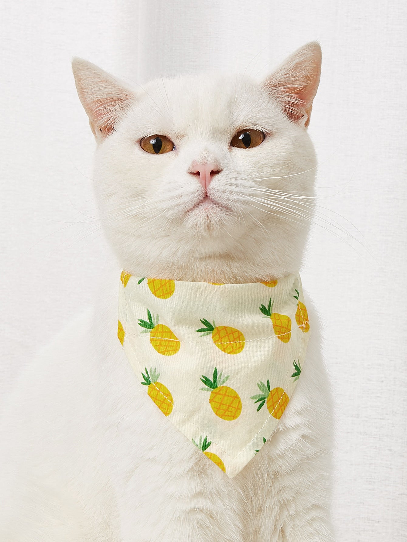 Pet Bandana-Pineapple print, pink swan, and pink with blue flowers Pet Collar