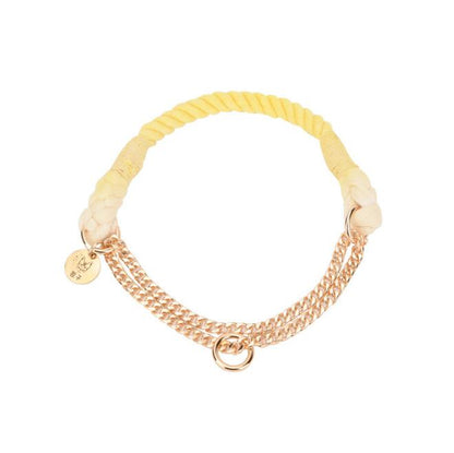 Rainbow Gold Chain Pet Leash & Collar Set – Stylish and Durable