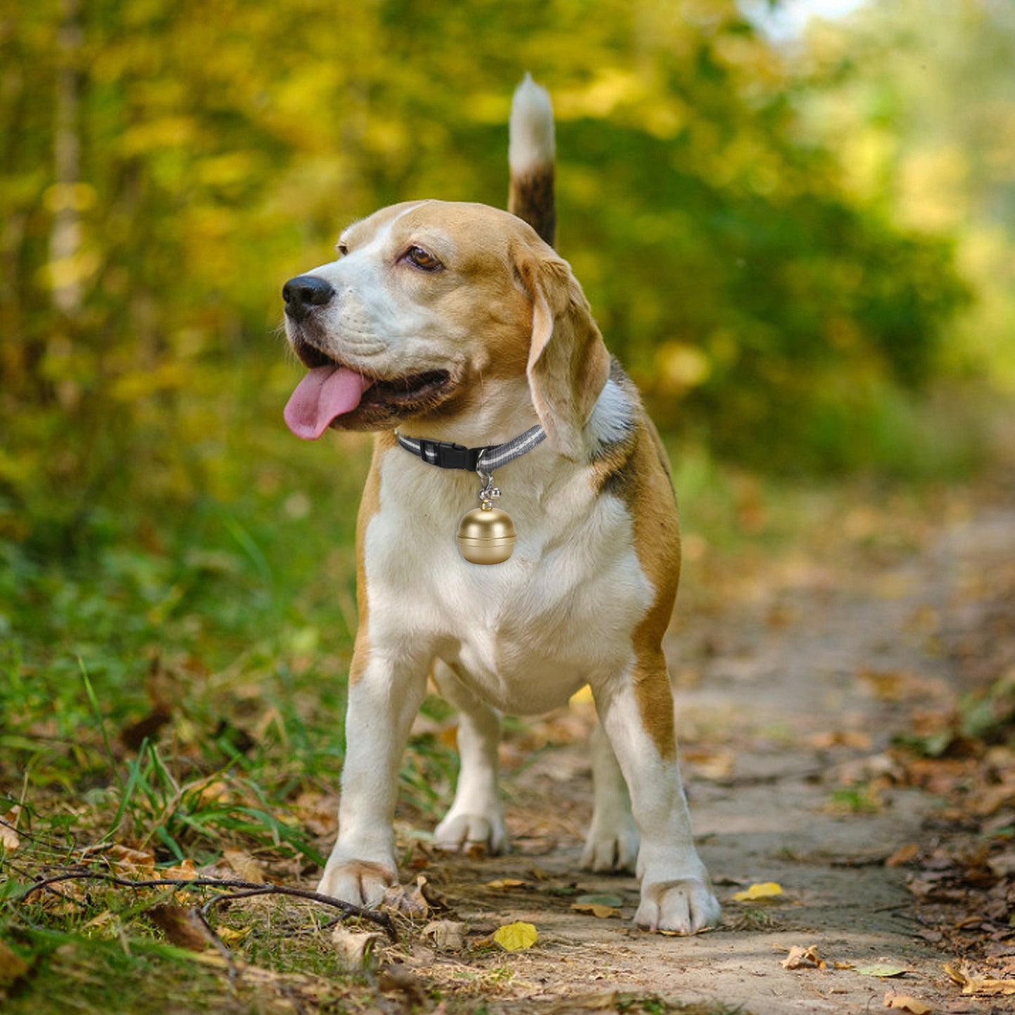 Cats & Dogs Waterproof Tracker Bell With Collar with Anti-Loss Bell For Pets