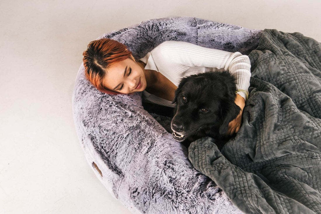 Giant Dog Bed Portable Pet Bed Giant Dog Bed Human Bed Cat Bed Dog Bed