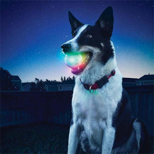 Pet Ball toy LED Glowing Dog Ball Blinking Small dog cat Pet Toys Lights Up Supplies