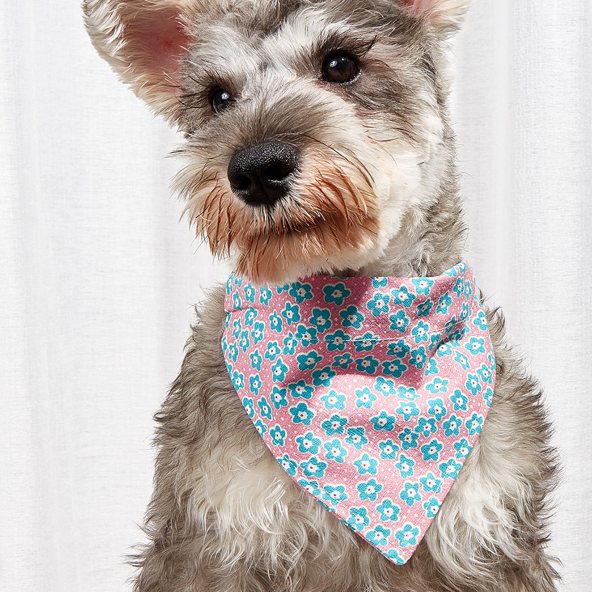 Pet Bandana-Pineapple print, pink swan, and pink with blue flowers Pet Collar