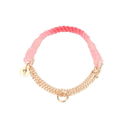 Rainbow Gold Chain Pet Leash & Collar Set – Stylish and Durable