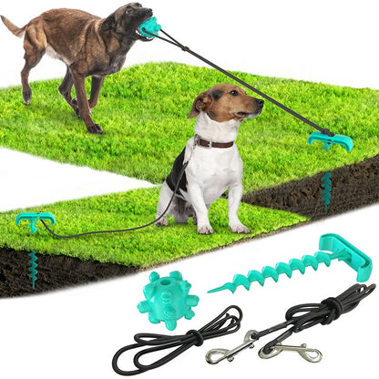 Durable Dog Leashing Peg & Treat-Dispensing Toy for Outdoor Play