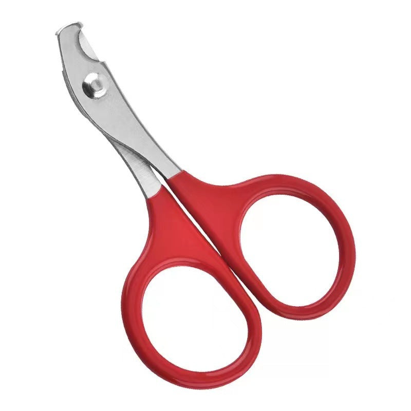 Stainless Steel Pet Scissors – Available in Red, Pink, Blue, and Black