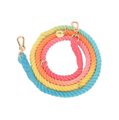Rainbow Gold Chain Pet Leash & Collar Set – Stylish and Durable