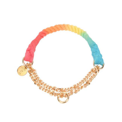 Rainbow Gold Chain Pet Leash & Collar Set – Stylish and Durable