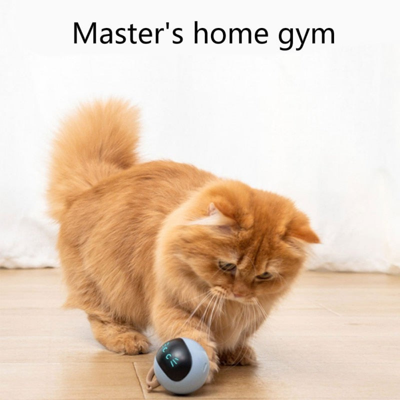 USB Rechargeable Smart Jumping Ball - Self-Rotating, Interactive Toy for Cats, Dogs, and Kids