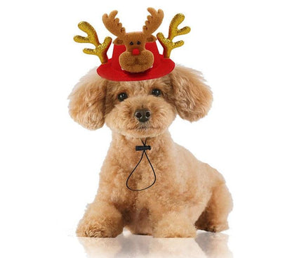 Pet Hat Dog Christmas Headwear Cat Funny hats Medium Big Dog