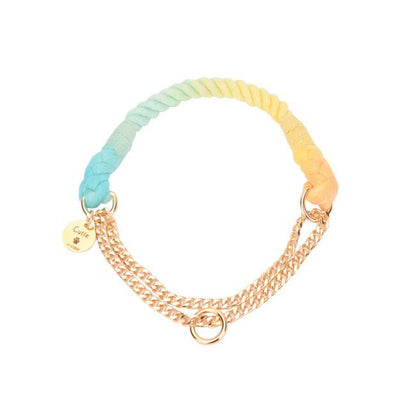 Rainbow Gold Chain Pet Leash & Collar Set – Stylish and Durable