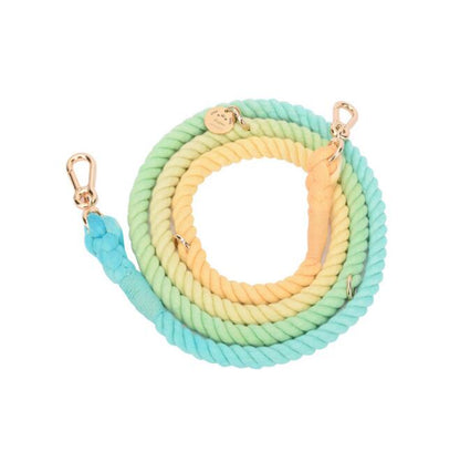 Rainbow Gold Chain Pet Leash & Collar Set – Stylish and Durable