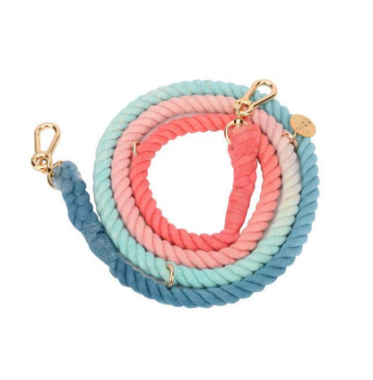Rainbow Gold Chain Pet Leash & Collar Set – Stylish and Durable