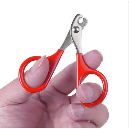 Stainless Steel Pet Scissors – Available in Red, Pink, Blue, and Black