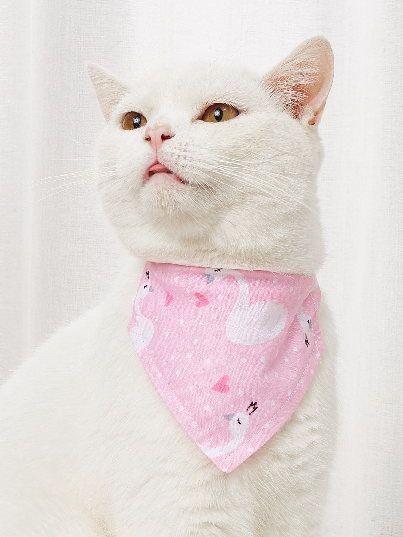 Pet Bandana-Pineapple print, pink swan, and pink with blue flowers Pet Collar