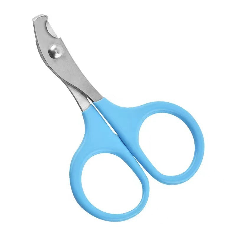 Stainless Steel Pet Scissors – Available in Red, Pink, Blue, and Black