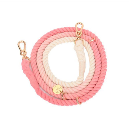 Rainbow Gold Chain Pet Leash & Collar Set – Stylish and Durable
