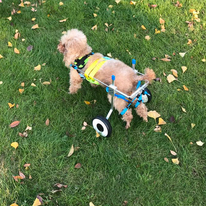 Adjustable Dog Wheelchair for Mobility Support – Perfect for Disabled or Injured Pets