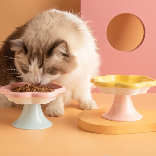 Pastel Floral Ceramic Cat Bowl – Anti-Overturning Pet Food & Water Bowl