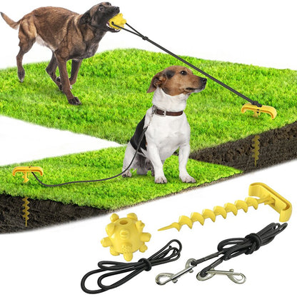 Durable Dog Leashing Peg & Treat-Dispensing Toy for Outdoor Play