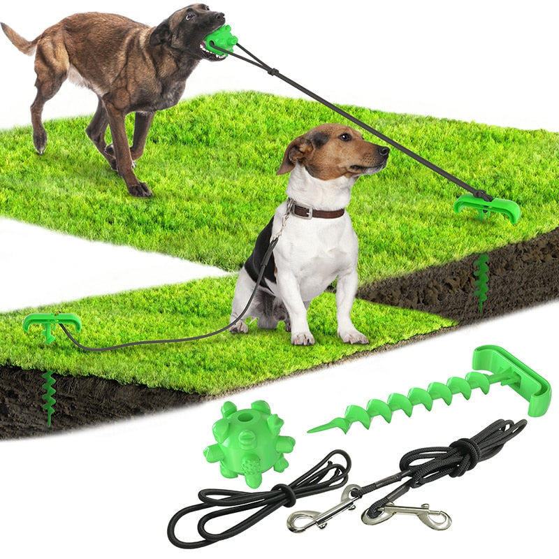 Durable Dog Leashing Peg & Treat-Dispensing Toy for Outdoor Play