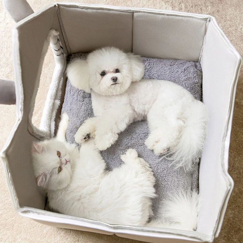 Pet House Bed: A Cozy Home for Your Furry Baby