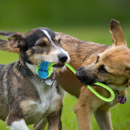 Cotton Rope Dog Toy for Chewing, Tug, and Toss Games – Dental Health Helper