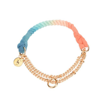 Rainbow Gold Chain Pet Leash & Collar Set – Stylish and Durable