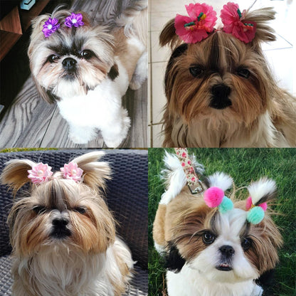 Cutes Dog Hair Bows and Pom-poms – Assorted Colors-Grooming Accessories for Cats & Dogs