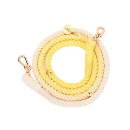 Rainbow Gold Chain Pet Leash & Collar Set – Stylish and Durable