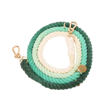 Rainbow Gold Chain Pet Leash & Collar Set – Stylish and Durable