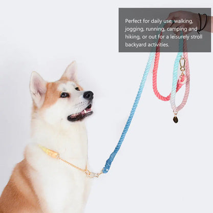 Rainbow Gold Chain Pet Leash & Collar Set – Stylish and Durable
