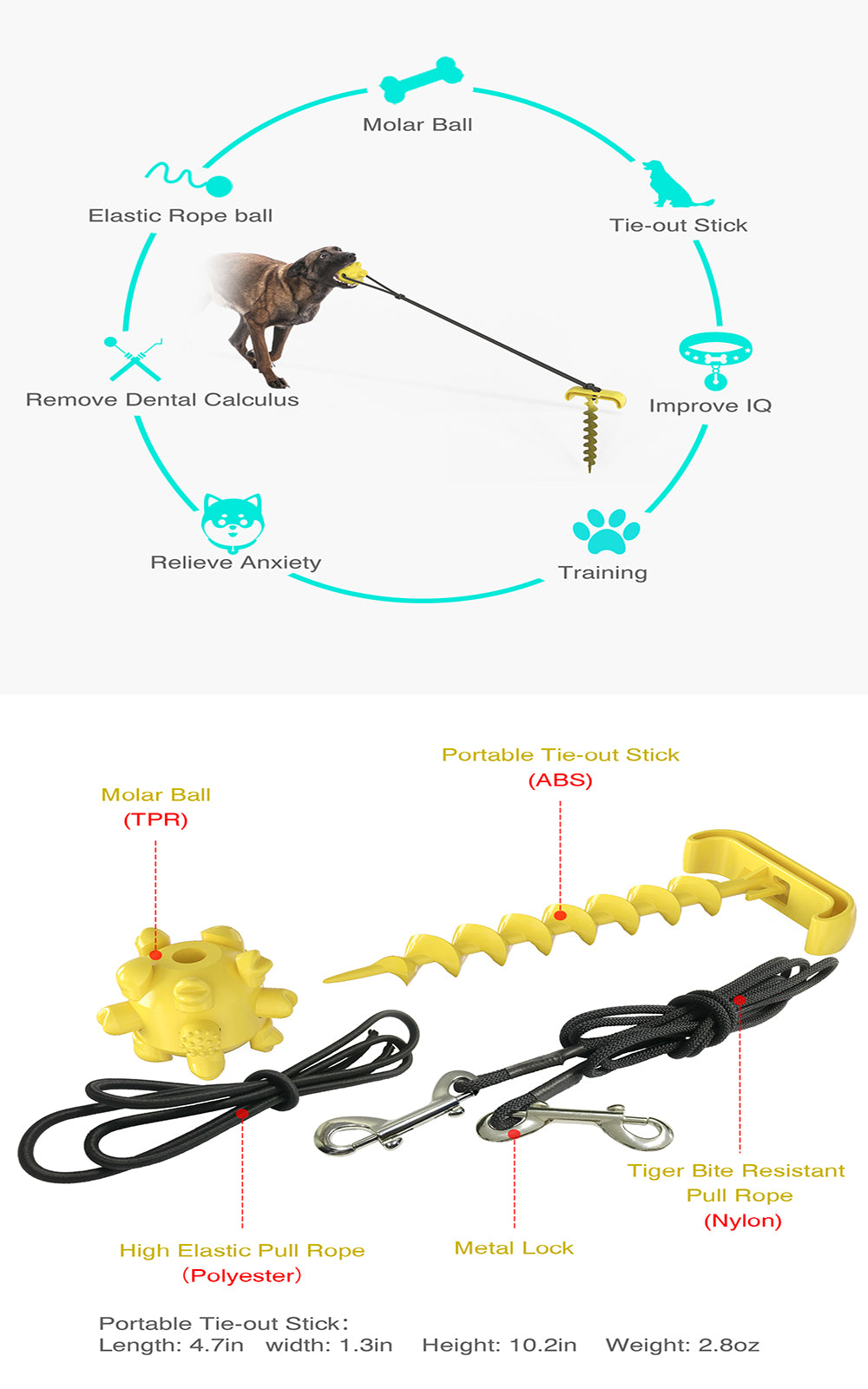 Durable Dog Leashing Peg & Treat-Dispensing Toy for Outdoor Play